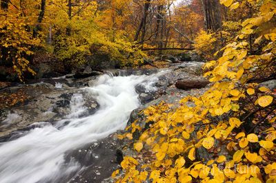 White Oak Canyon