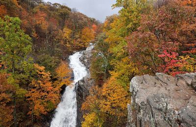 White Oak Waterfall