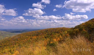 Rolling Hills of Autumn