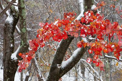 16 Days in Shenandoah - Autumn 2011