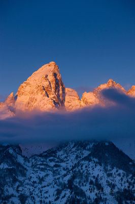 Wiinter's Golden Grand Teton II