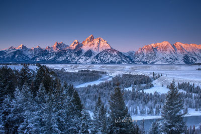 Christmas in the Tetons. 2011