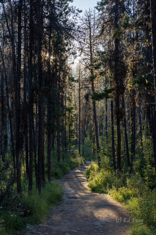 Plain of Five Lakes Trail