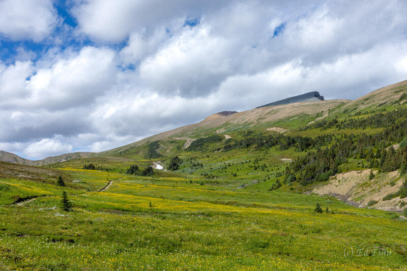 Skyline Trail II