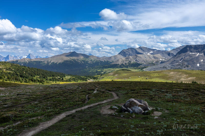 Skyline Trail at the End of the Day
