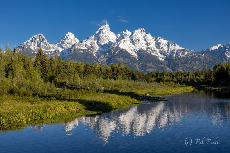 Schwabacher's