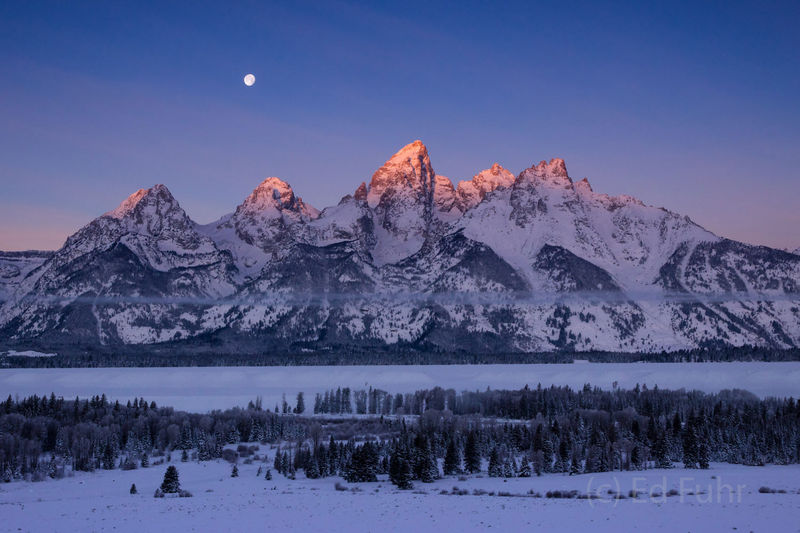 By Dawn's Early Light