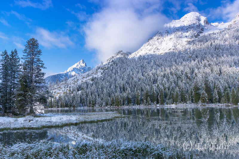 String Lake Splendor