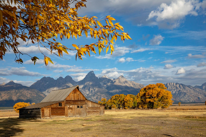 Autumn at Moulton Barn