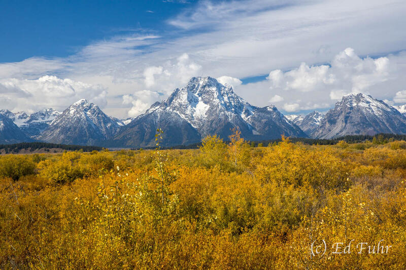 Willow Flats in Autumn