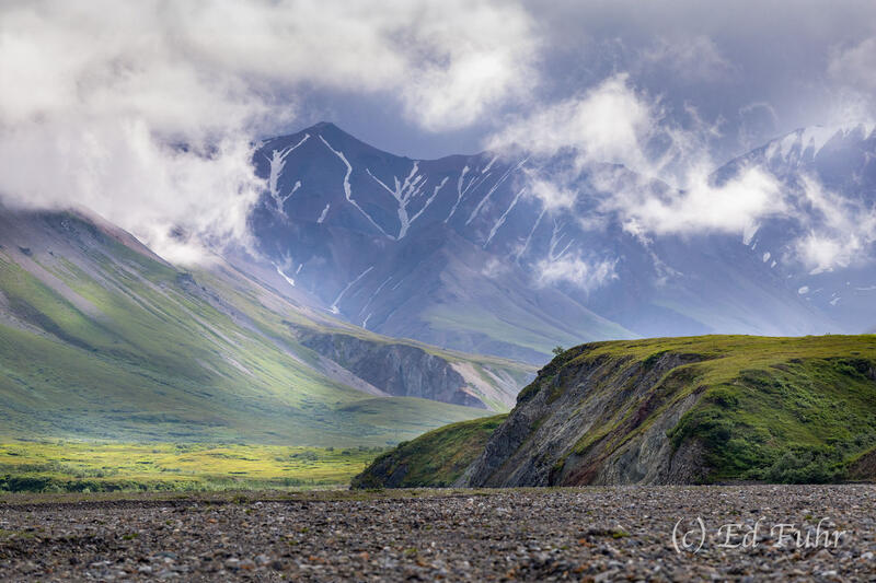 In the Shadow of the Mountains