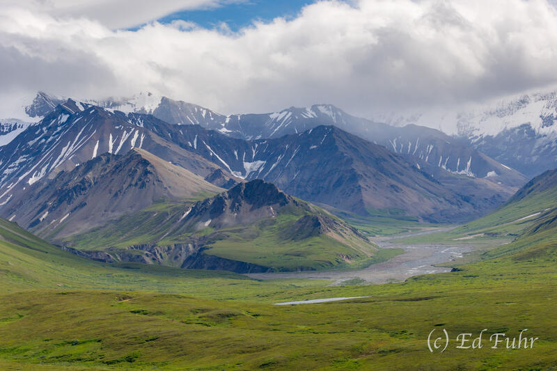 Into the Wild Country