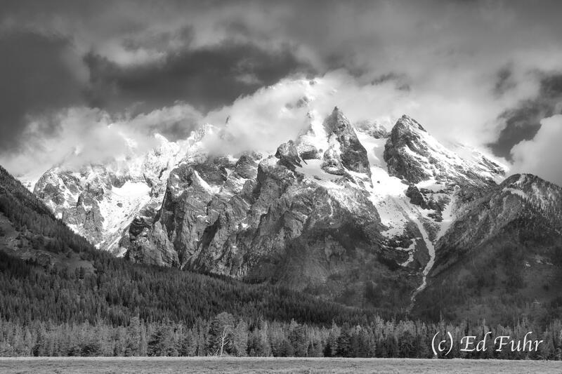 Moran's Summer Snow
