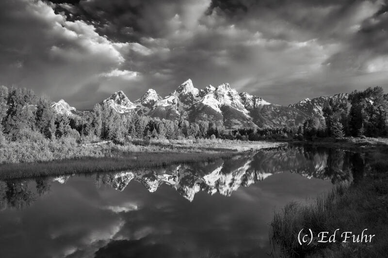 Of Things Black and White