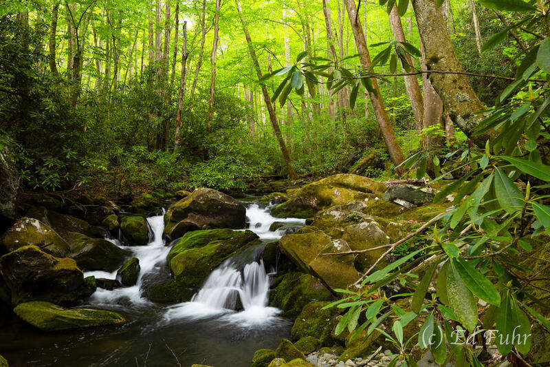 Smoky Mountain Green