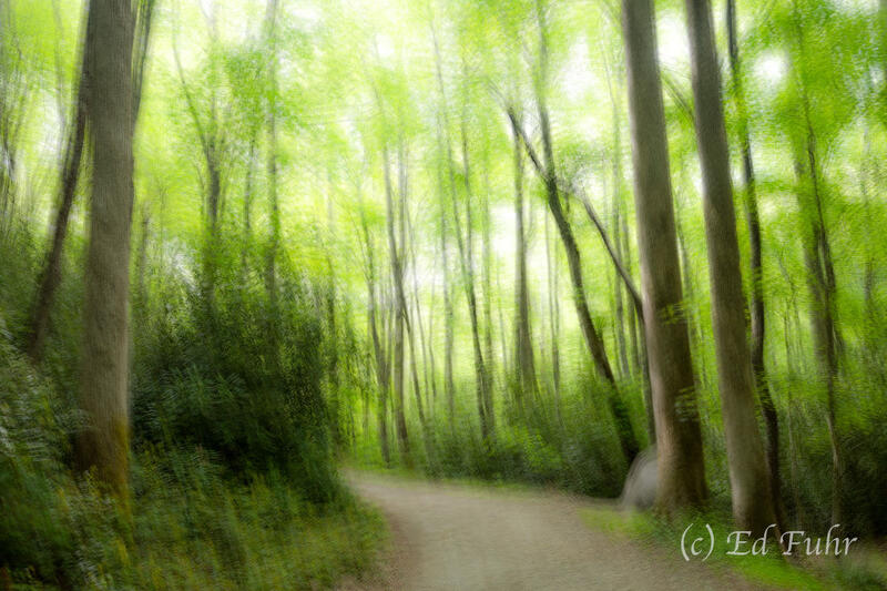 Trail Impreessions