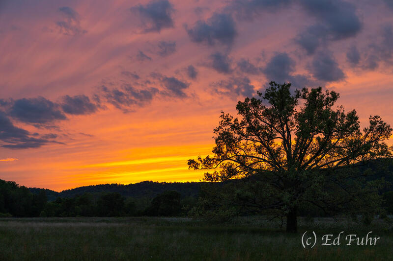 Dusk's Glow, Cades Cove
