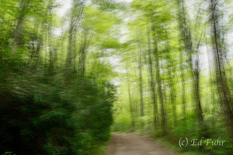 Trail Memories 