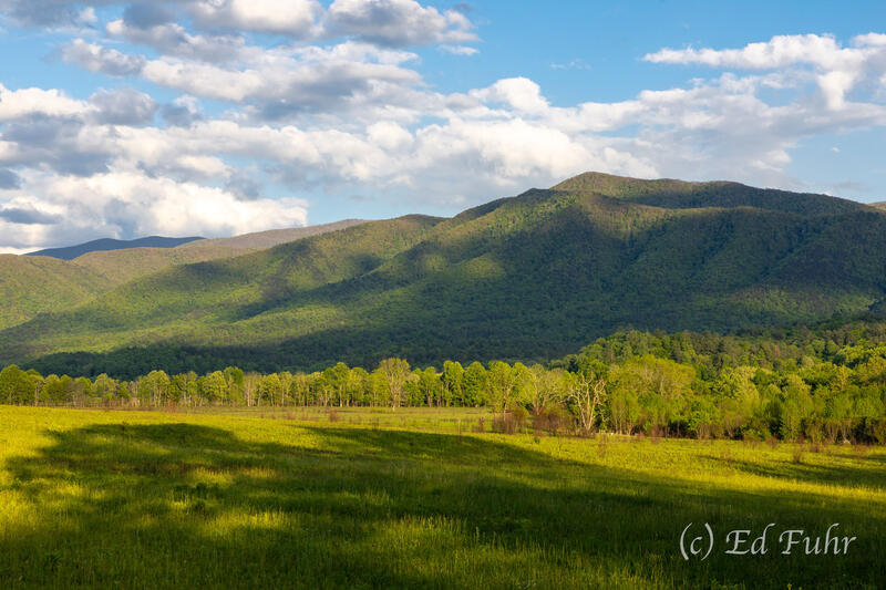 Late Afternoon, Cades Cove