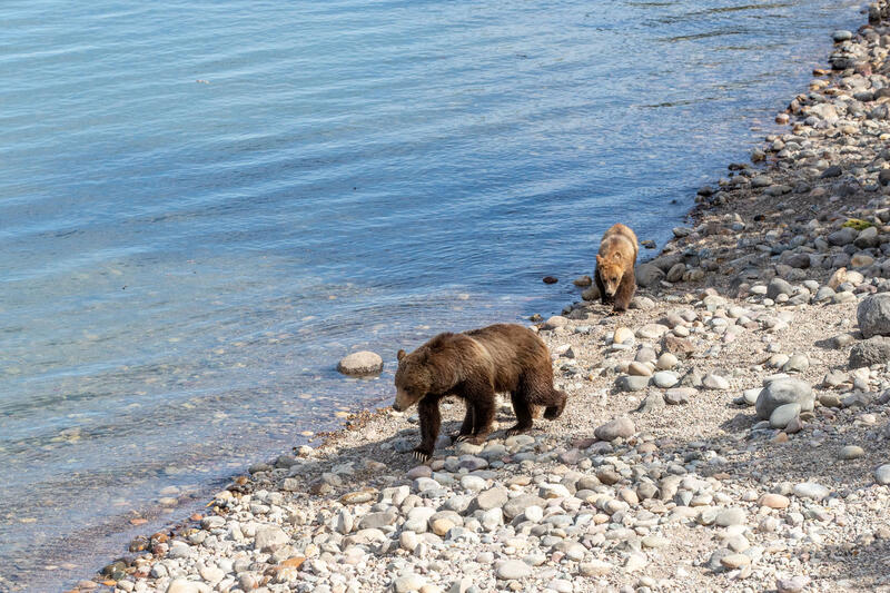 Lakeside Stroll