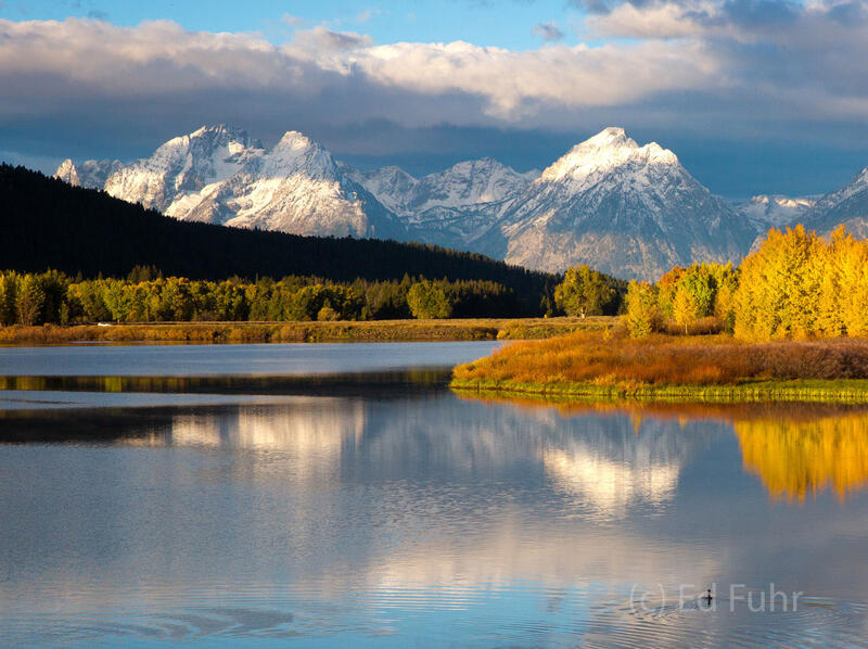 Morning Calm at Oxbow, 2013