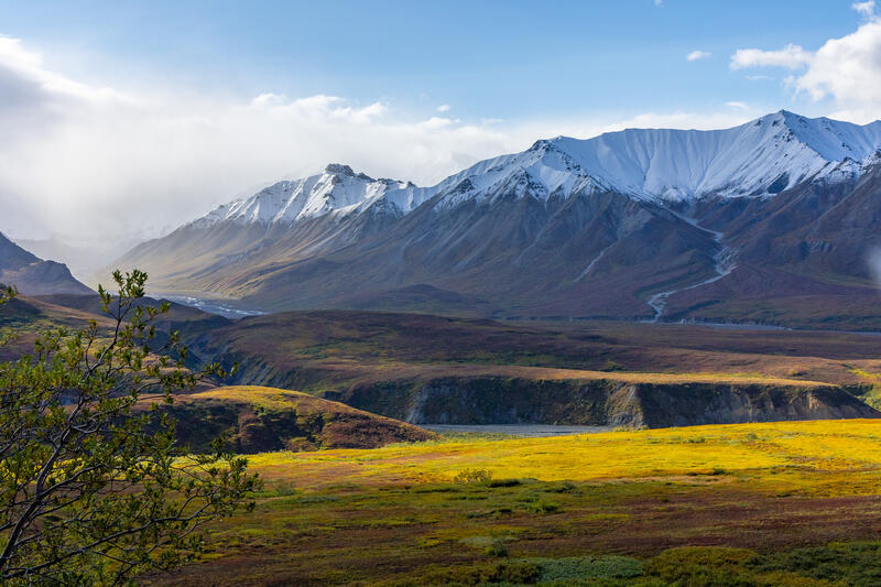 Afternoon on Thorofare Pass
