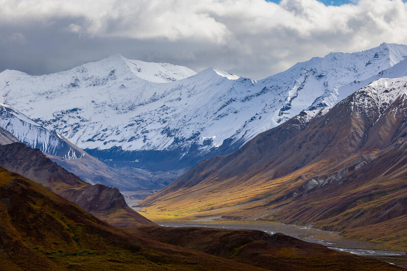 Denali's Spectacle