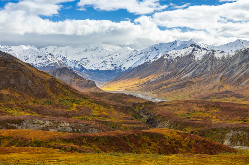Changing Seasons 2