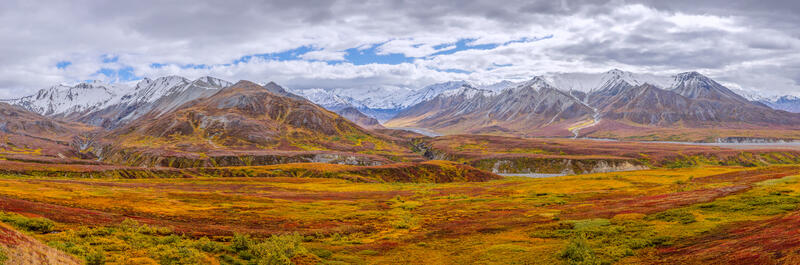 Tundra Panorama
