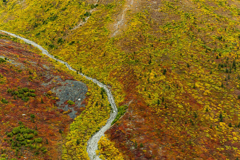 Autumn Aerial