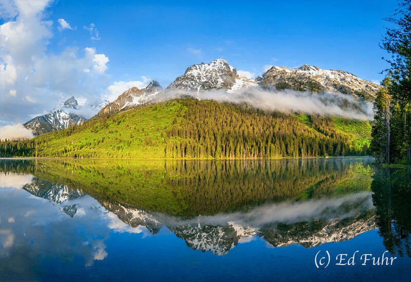 String Lake Reflections