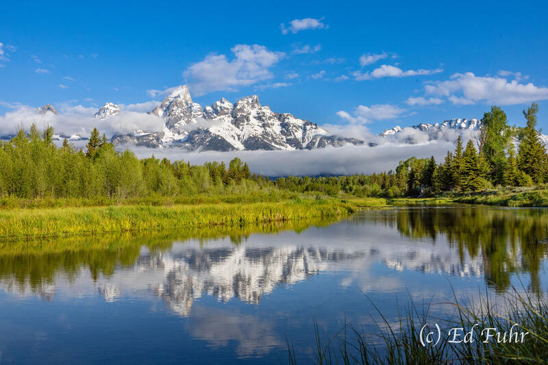 Schwabacher Perfection