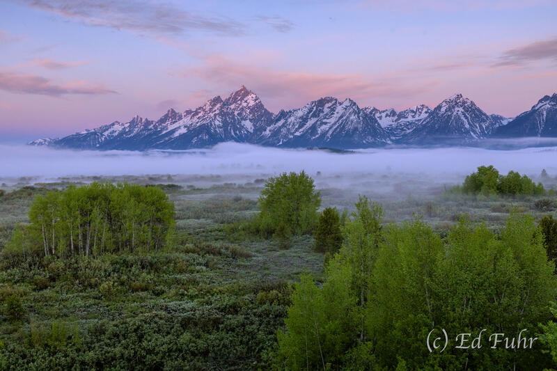 Morning on Willow Flats