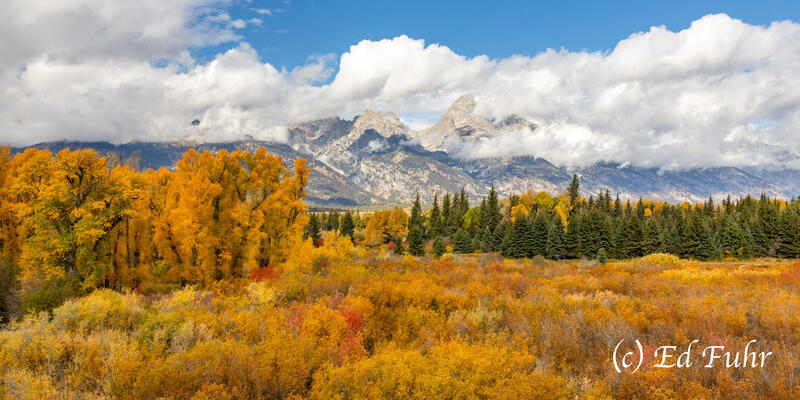 Blacktail Ponds Overlook