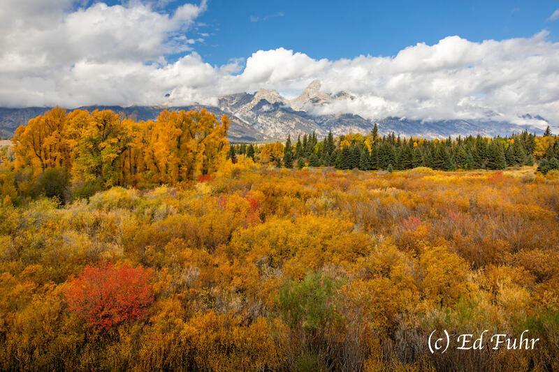 Blacktail Ponds Overlook, 2025