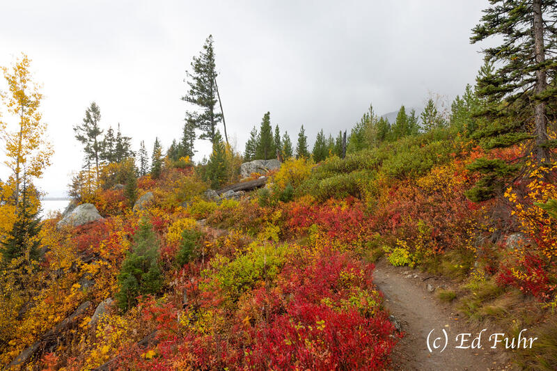 A Pretty Hike