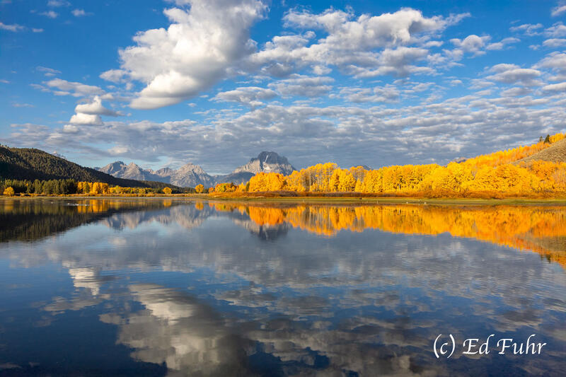 Oxbow Bend, 2025