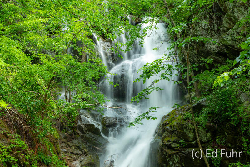 Spring Canyon