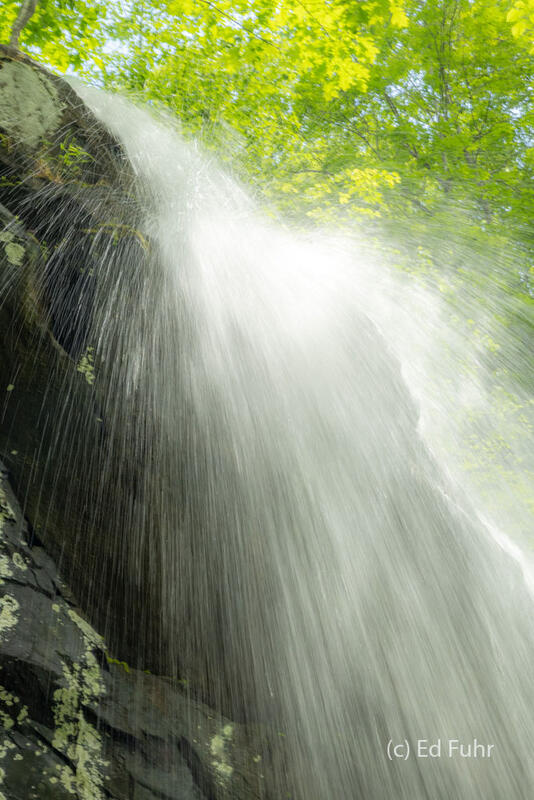 Doyles Falls, 2025