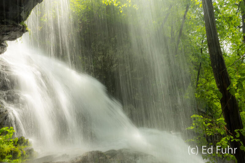 Springtime at Doyles Falls