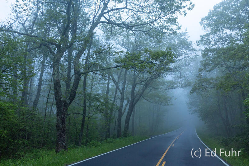 Spring Drive
