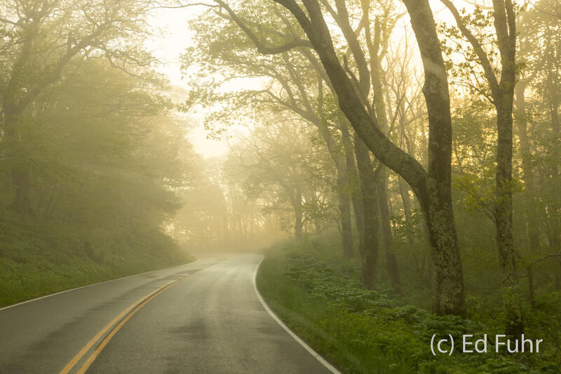 Evening on Skyline Drive