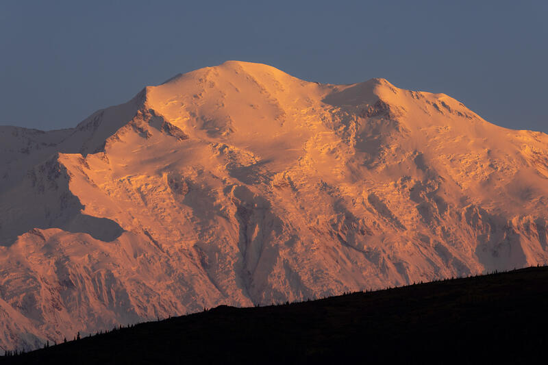 Denali Majesty