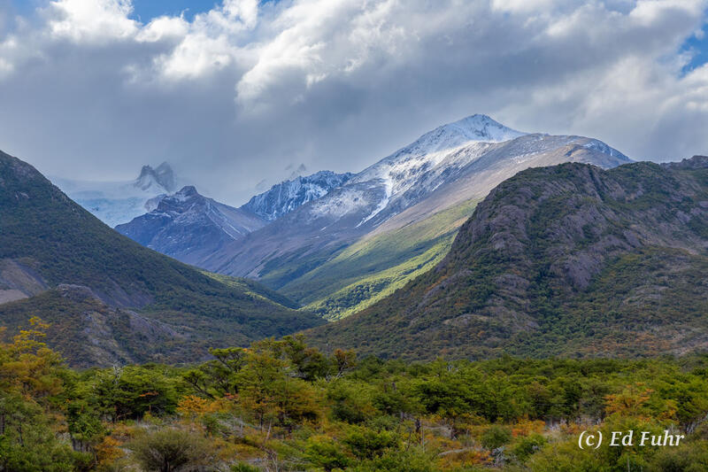 Los Huemules Reserve