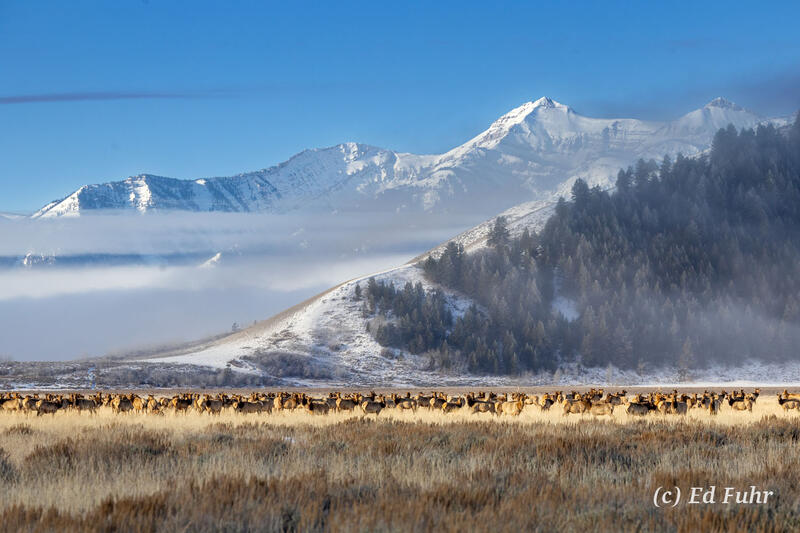Behind the Butte