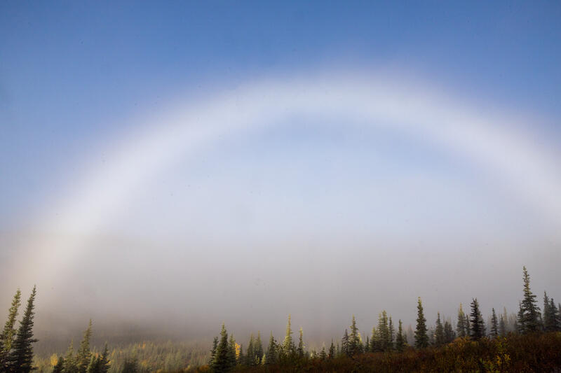 Fog Bow