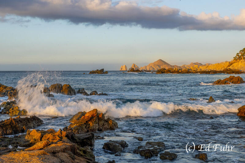 2025, sea of Cortez,