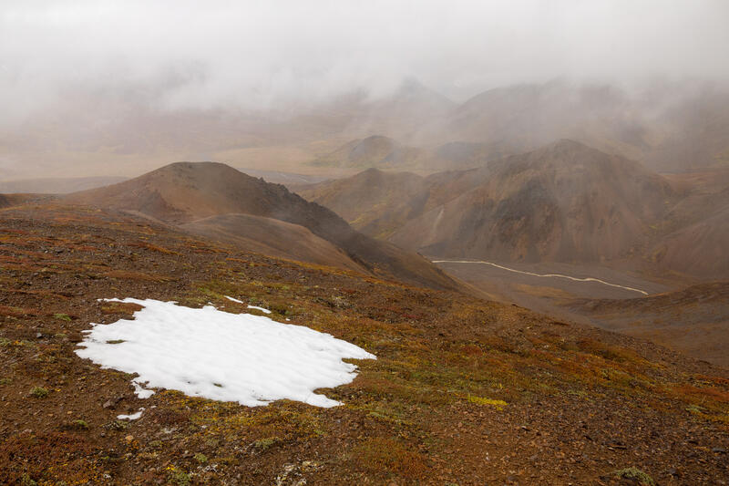 A Foggy Hike