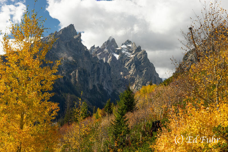 Autumn Hike 