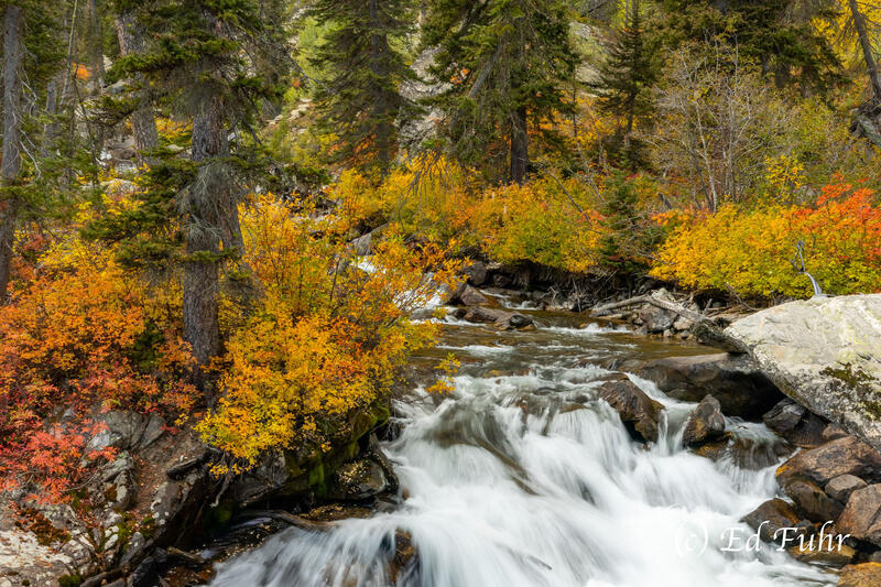 Autumn Cascade On Way to Hidden Falls